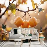 Adhesivo mural de pared de tamaño personalizado, albaricoques amarillos frescos, gotas de rocío en la fruta, luz solar de la mañana, vista natural del huerto, para decoración de pared, calcomanías de