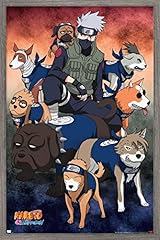 Barnwood Framed Version