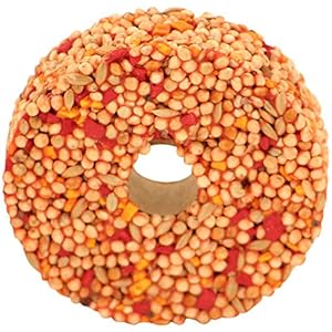 Johnsons Vet Budgie and Parakeets Honey Rings, N021