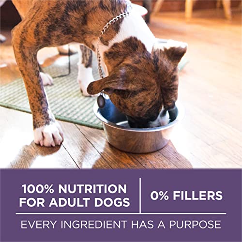 Purina ONE Plus Senior Dry Dog Food, Adult 7+, 16.5 lb Bag | Vibrant Maturity formula for mature 7+ dogs, real chicken as the first ingredient, promotes metal sharpness in senior dogs - image 8