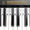 Best acoustic piano under $1000: get the best musical instrument with real feel 5 BEATBIT Piano Notes Guide for Beginner, Removable Piano Keyboard Note Labels for Learning, 88-Key Full Size, Made of Silicone, No Need Stickers, Reusable and Comes with Box (Classic Black) #4