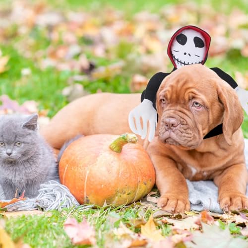 VEQENIFY Hundekostüm Halloween Kostüm Hund,Halloween HundeKostüm für Haustier Hunde Kleine bis Große Hunde