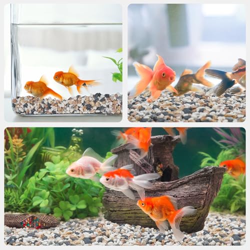 Image of 5 lbs Small Rocks for Plants, 1 /5 Inch Pebbles for Indoor Plants, Natural Decorative Pea Gravel for Aquarium, Fish Tank, Terrarium, Succulents, Bamboo Plants, Vases, Cactus, Crafts