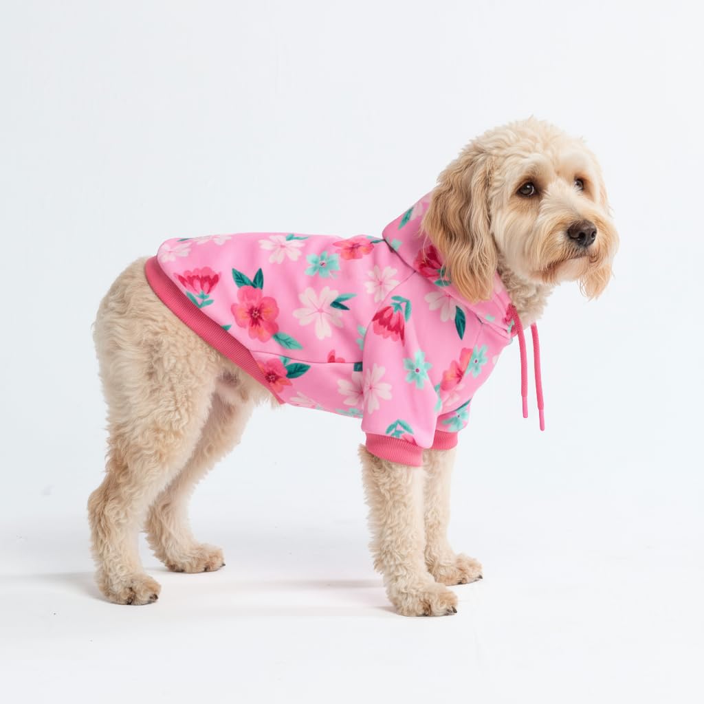 Spark Paws Dog Hoodie - Buttery-Soft Sweater Sweatshirt, Clothes for Puppy