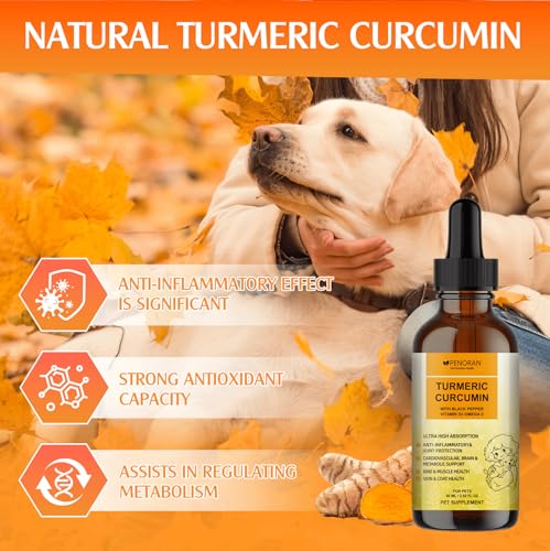 Kurkum- und Curcumin Tropfen für Hunde & ältere Hund & ArbeitsHunde: Gelenkbeweglichkeit und -flexibilität, Schmerzgenesung, Verdauung, Gehirn, Leber, Knochen, Muskeln, Haut, Fell – bessere Resorption