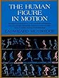 セール中のKindle本27：The Human Figure in Motion (English Edition)
