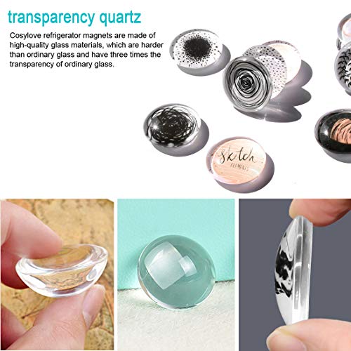 Cosylove - Magneti per frigorifero, 12 pezzi, in