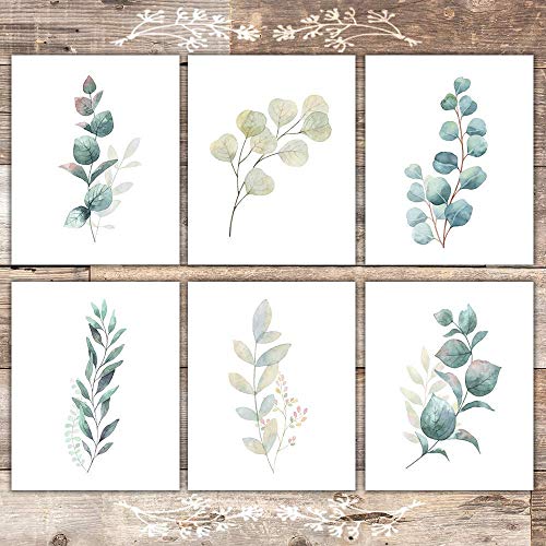 Botanical Prints Wall Art - Eucalyptus Leaves - (Set of 6) - Unframed