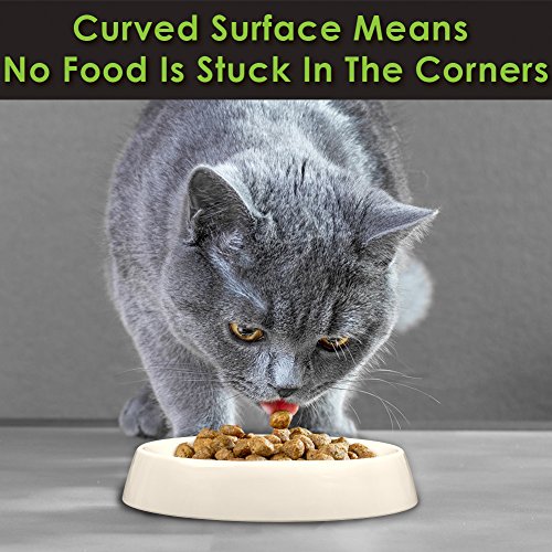 cat food bowl whisker stress