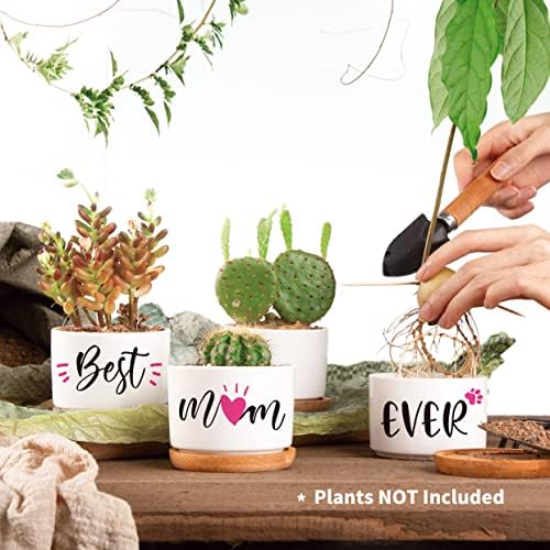 Gifts for Mum, Mum Birthday Gifts from Daughter or Son, Best Mum Ever Succulent Planters, Birthday Gifts for Mum, Unique Presents for Mum on Christmas Birthday Thanksgiving Valentines Mother's Day
