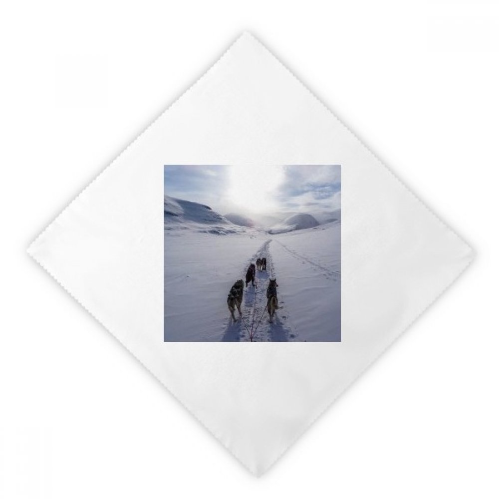 Serviettes en tissu lavables imprimé animal Husky neige pour art de la table