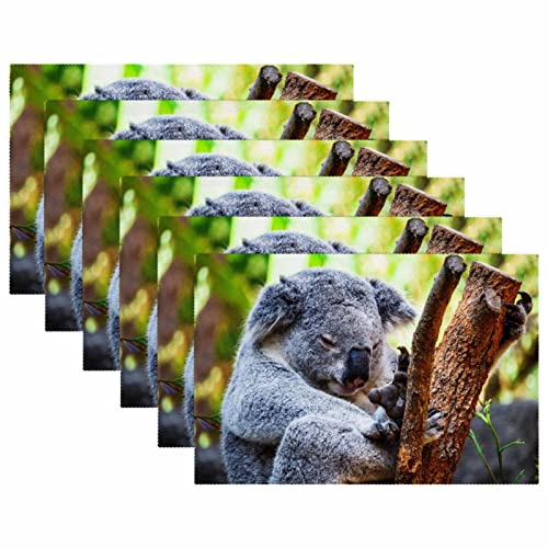 Set de table koala antidérapant et résistant à la chaleur pour table à manger