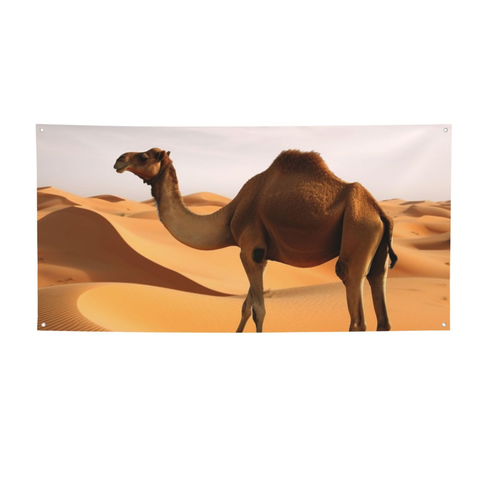 Desert Sand Camel Banners and Signs Party Backdrops Photo Text Background Wall Hanging Flags Funny Party Banner for Wedding Birthday Parties Indoor Outdoor