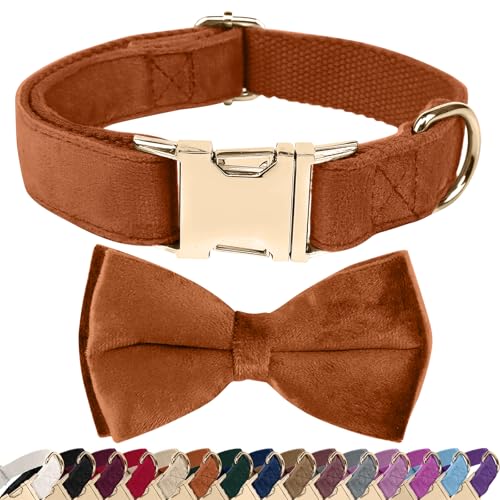 Collier Chien avec Nœud Velours, Boucle Sécurité Zinc Alliage