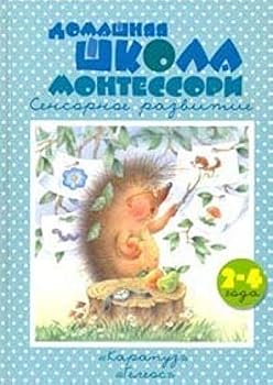 Hardcover Domashniaia shkola Montessori. 2-4 goda [Russian] Book