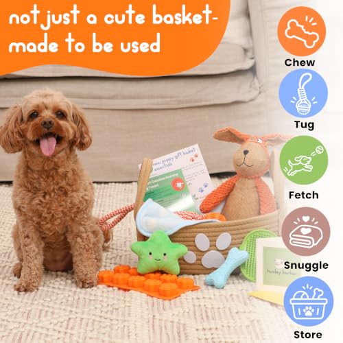 New Puppy Gift Basket for Puppies, Adopted Dogs & Small Family Dogs - Chew Toys, Squeaky Toys, Toy Box, Treat Mold, Pet Blanket - Dog Gift Basket Essentials - Image 4