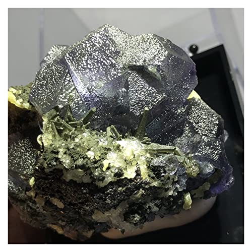 Pierre enseignement minéralogie fluorite et pyrite verte 203.3g - 6