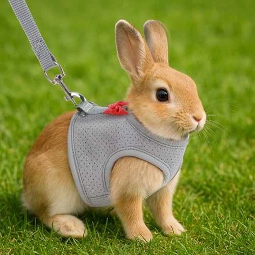 Image of Rabbit Harness and Leash Set with Cute Bow, Soft Mesh Vest Harness for Rabbits, Adjustable Bunny Vest Harnes, for Rabbits Walks Accessories(Grey)