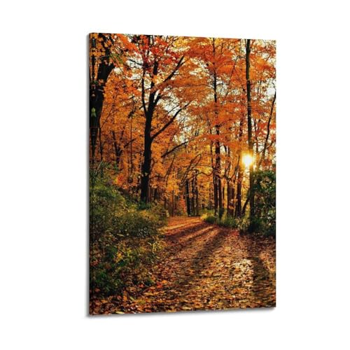 Poster paysage Autumn Trail Sunset habille un mur blanc nu