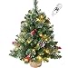 2FT Pre-lit Artificial Small Mini Christmas Tree with Warm White Multi-Color LED Lights, Remote Control and Timer, Perfect for Xmas Tabletop Decorations, Home, Kitchen, Dining Table top White