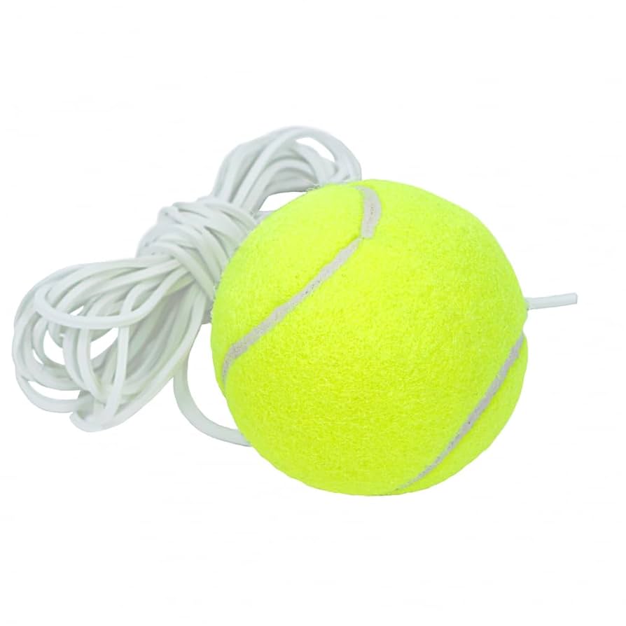 Yurishis★様　連絡用　中古硬式テニスボール220球以上　女子練3週間使用 楽天市場】[お買い物マラソン開催]テニスボール 2P×10(20個