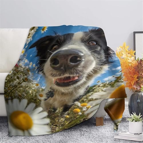 Couverture Border Collie en flanelle 100x130 cm pour lit et canapé