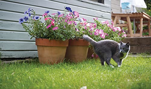 PetSafe, botola Magnetica di altissima qualità per Gatti