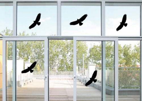 5 pájaro pegatinas - pájaros ventanas agarre pájaro imágenes por 24 x 10 cm B320 Cover