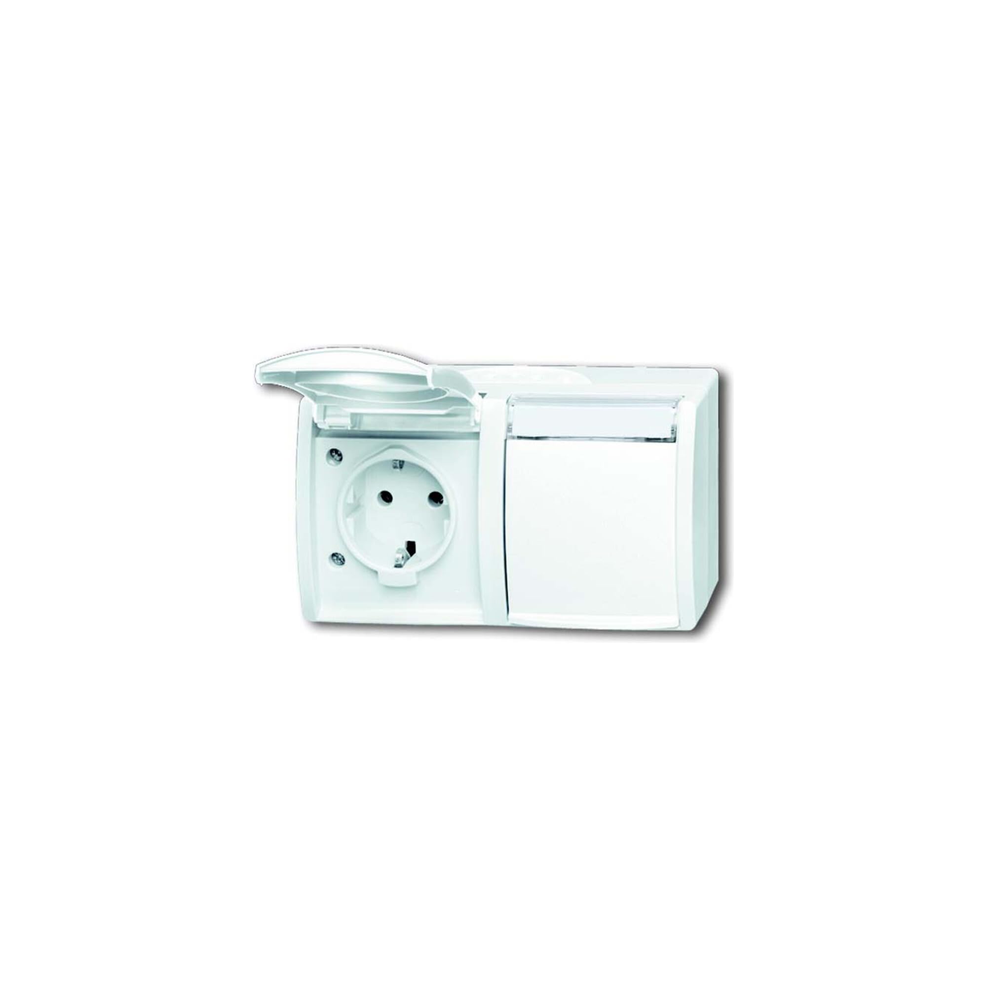 Busch-Jaeger 20/2 EWN-54 SCHUKO double prise étanche IP44 montage saillie