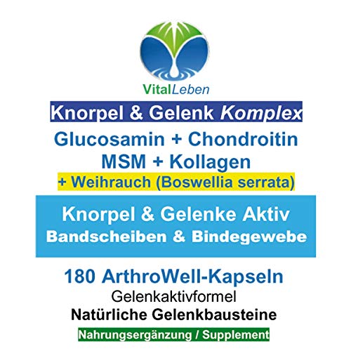 Knorpelaufbau KNORPEL & GELENKE Komplex 180 Kapseln - ArthroWell TOP-5 Gelenkbausteine Gelenkkapseln mit Glucosamin, Chondroitin, MSM, Kollagen, Weihrauch. OHNE ZUSATZSTOFFE 26445-180