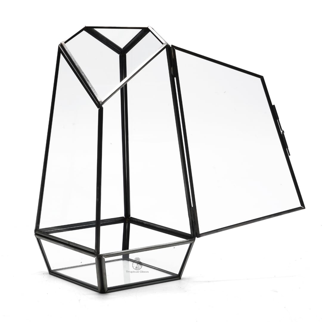 Geometric Glass Terrarium Container with Opening Door and Black Metal Frame (H: 25 cm), Decorative Enclosed Display for Tropical Plants and Moss, Handcrafted Home and Office Plant Décor
