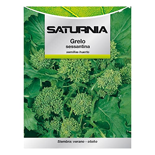 SATURNIA Semillas Grelo Brocoli (10 Gramos) Semillas Verduras, Horticultura, Horticola, Semillas Huerto.