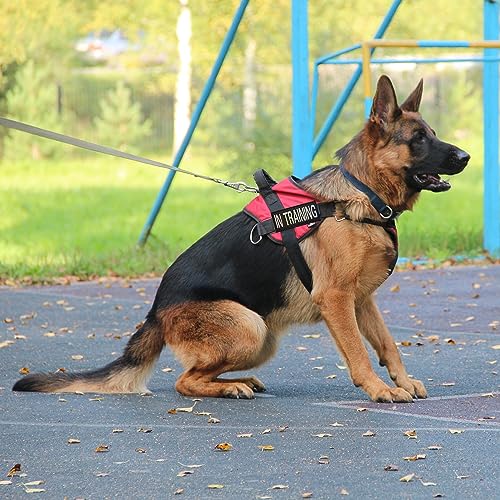 2 Stück Abnehmbare Patches, Diensthunde Aufnäher Hundegeschirr Patch Namenspatch, Geschirre Aufnäher Abnehmbar Taktisch, Magischer Aufkleber für Hundegeschirr