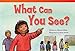 Teacher Created Materials - Literary Text: What Can You See? - Grade 1 - Guided Reading Level G (Read! Explore! Imagine! Fiction Readers: Level 1.7)