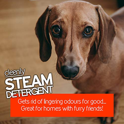 Cleenly Pet Steam Detergent for Steam Mops (5 litres) - Citrus Splash - Designed for Homes with Pets - Suitable for All Hard Floors, clear - Image 3