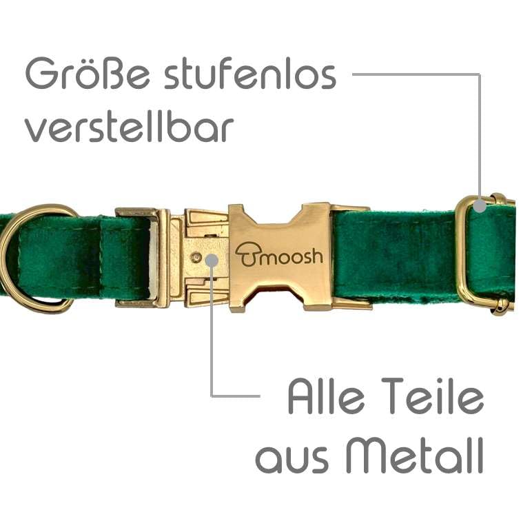 Luxus-Hundehalsband aus Samt mit Airtag-Halterung - Eleganz & Sicherheit für Ihren Vierbeiner in Allen Größen