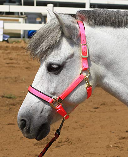 Image of T TEKE Adjustable Horse Halters by Heavy Duty Soft Nylon, Padded with Anti-rubbing Waffle Neoprene on Both Crown & Nose