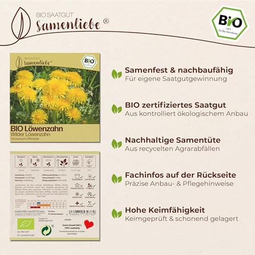 Foto von Samenliebe BIO Löwenzahn Samen | Wilder Löwenzahn - winterhart & mehrjährig - samenfestes BIO Saatgut
