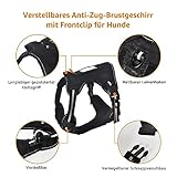 Amazon Basics Anti-Zieh-Hundegeschirr mit vorderem Clip, Westengeschirr, Klein, Schwarz