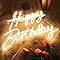 Amazon.com : Happy Birthday Neon Sign Reusable Ice Blue LED Neon Night ...