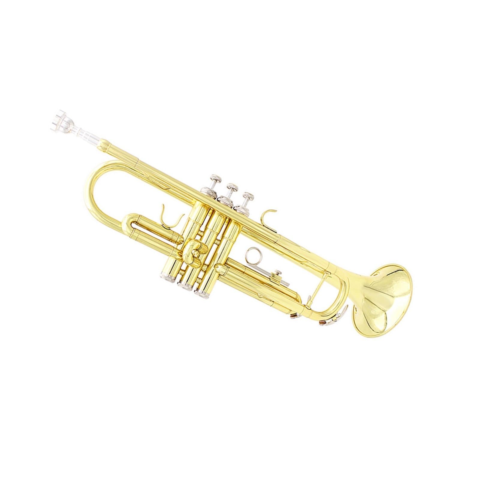trąbka instrument Trąbka z klawiszem B, korpus mosiężny, student, początkujący, profesjonalista grający na trąbce na instrumencie dętym blaszanym