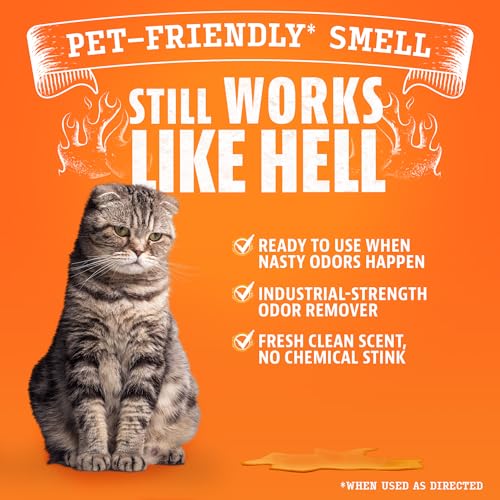 Image of Fresh Scent Pet Odor Eliminator Spray by Angry Orange