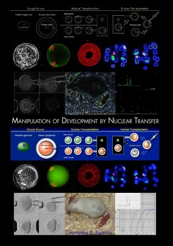 Manipulation of Development by Nuclear Transfer