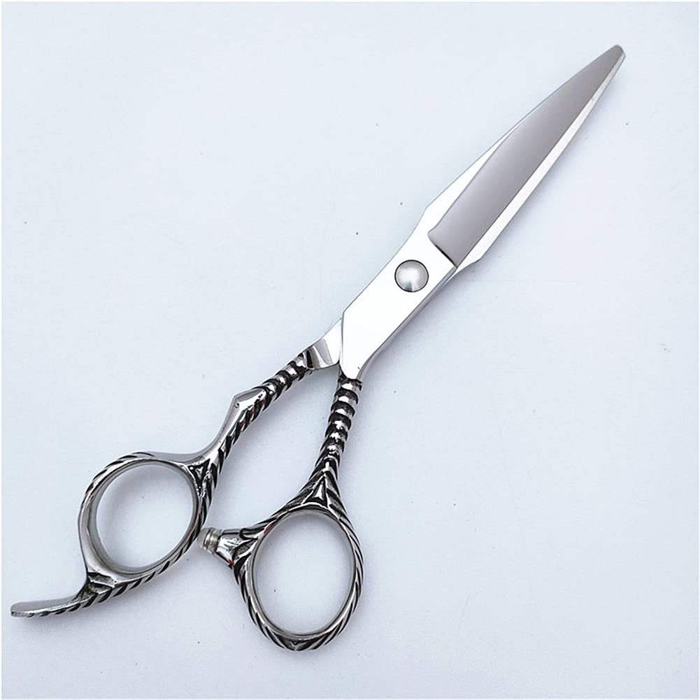 Ciseaux À Couper Les Cheveux Ciseaux Amincissement des Dents Cisailles De Cisailles, Ciseaux De Cheveux en Acier Inoxydable De 6,0 Pouces, pour Hommes Femmes Enfants Animaux Domestiques,5.5 inch