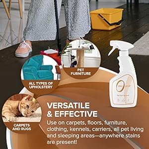 Zero odor  pet stain remover  odor eliminator  permanently remove stain  odor with patented technology best for carpet furniture floors pet bed look and smell great 16oz over 400 sprays   cucciolini doodles