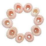 Urchin shell decoration--these adorable ornaments are a lovey addition to any space, and make for the !,air plant urchin