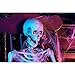 Home Accents HolidayGanmm 5 ft. Poseable Skeleton with LED Illumination