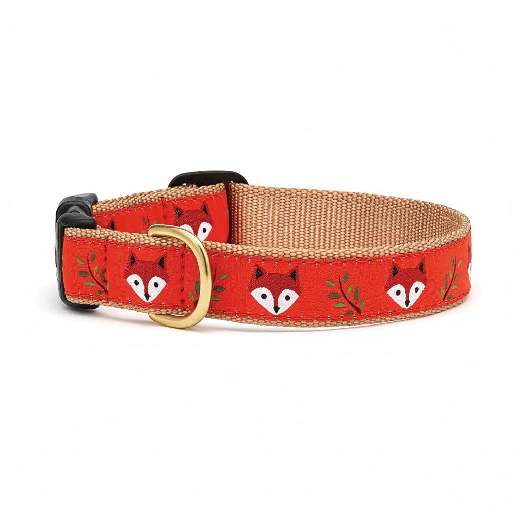 Up Country Foxy Pattern (Foxy Dog Collar, Medium (12 to 18 Inches) 1 Inch Wide Width)