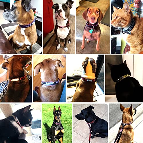 Didog 4 Feet Braided Custom Leather Dog Collar And Leash Set, Soft Padded Leather Dog Collars Personalized For Small Medium Large Dogs, Blue Set, L #TOP6