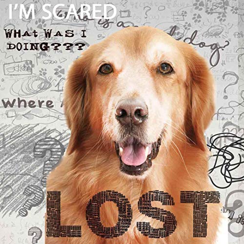 Image of The Blissful Dog Golden Retreiver Age Well Spray Aromatherapy
